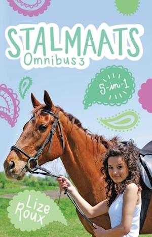 Stalmaats Omnibus 3