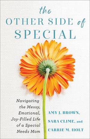 The Other Side of Special - Navigating the Messy, Emotional, Joy-Filled Life of a Special Needs Mom