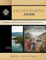 Encountering John - The Gospel in Historical, Literary, and Theological Perspective
