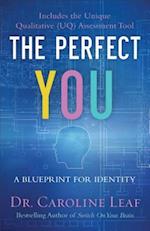 The Perfect You – A Blueprint for Identity