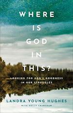 Where Is God in This? - Looking for God`s Goodness in Our Struggles