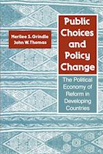 Public Choices and Policy Change