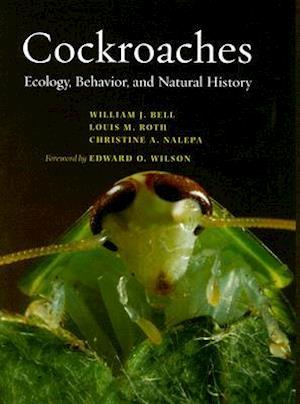 Cockroaches