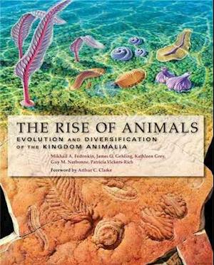 The Rise of Animals