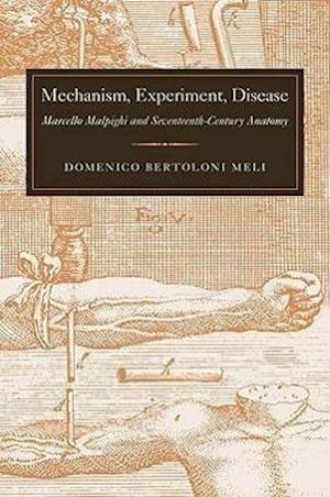 Mechanism, Experiment, Disease