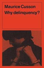 Why Delinquency? 