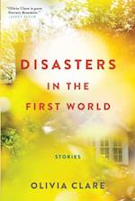 Disasters in the First World