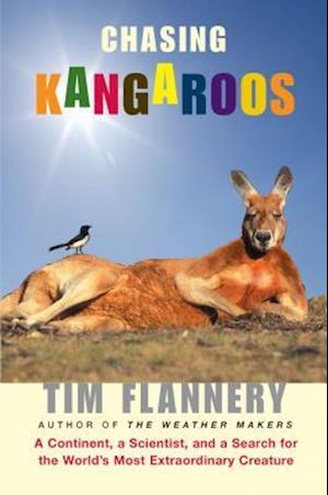 Chasing Kangaroos