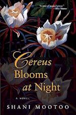 Cereus Blooms at Night