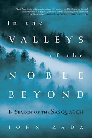 In the Valleys of the Noble Beyond