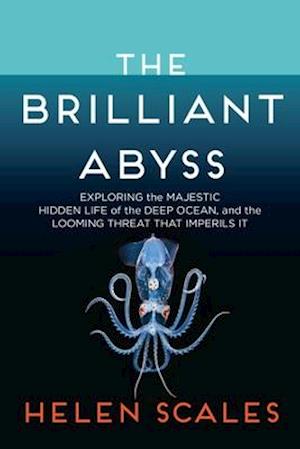 The Brilliant Abyss