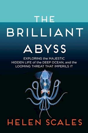 Brilliant Abyss