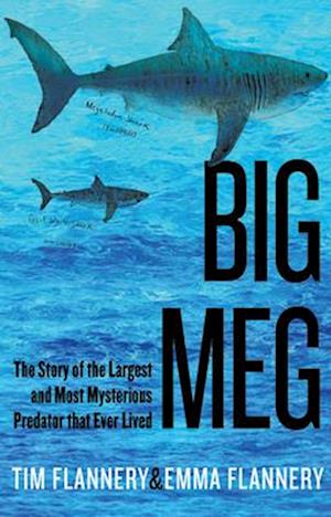 Big Meg