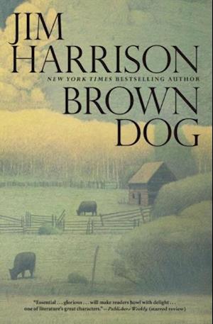 Brown Dog