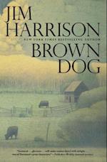 Brown Dog