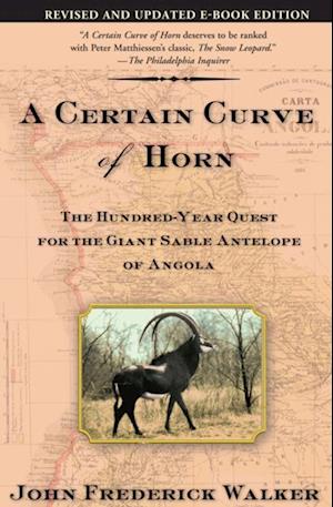 Certain Curve of Horn