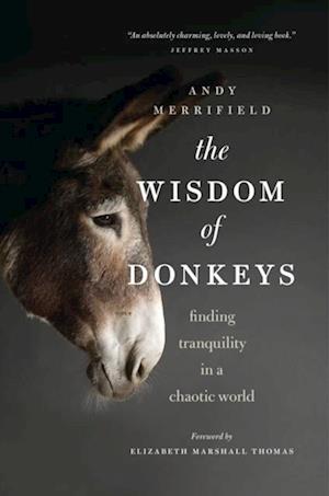 Wisdom of Donkeys