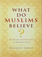 What Do Muslims Believe?