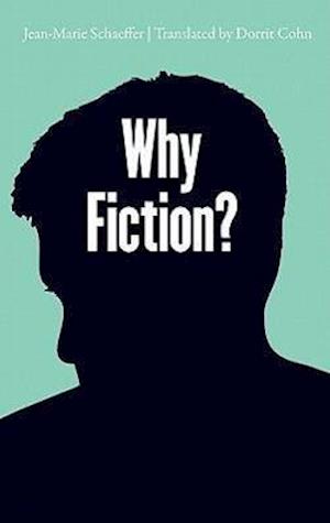 Why Fiction?