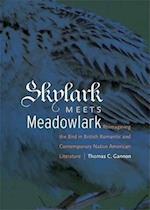 Skylark Meets Meadowlark