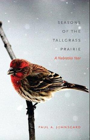 Seasons of the Tallgrass Prairie