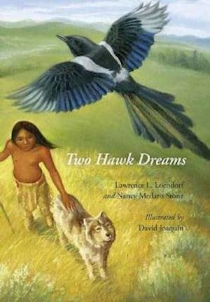 Two Hawk Dreams