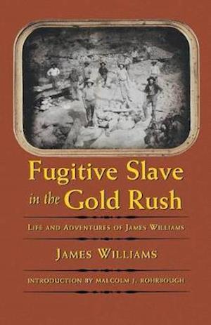 Fugitive Slave in the Gold Rush