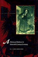 A History of Madness in Sixteenth-Century Germany