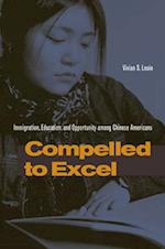 Compelled to Excel