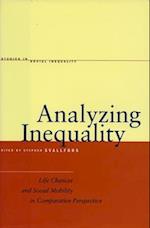 Analyzing Inequality