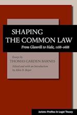 Shaping the Common Law