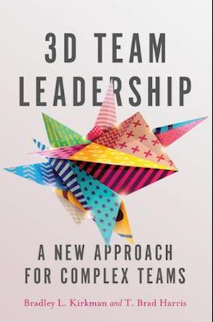 3D Team Leadership