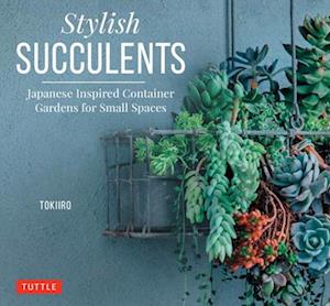 Stylish Succulents