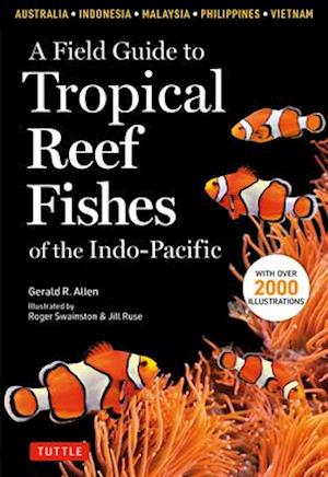 Field Guide To Tropical Reef Fishes Of The Indo Pacific