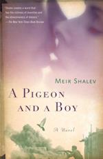 Pigeon and a Boy