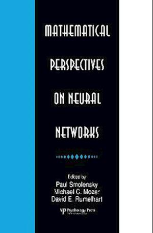 Mathematical Perspectives on Neural Networks