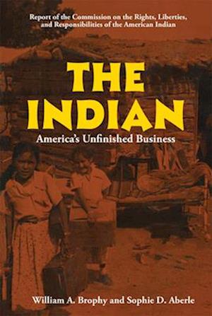 The Indian: America's Unfinished Business