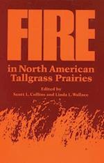 Fire in North American Tallgrass Prairies