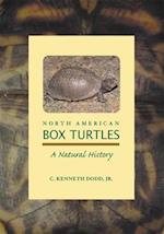 North American Box Turtles