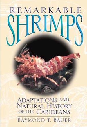 Remarkable Shrimps