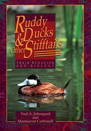 Ruddy Ducks and Other Stifftails