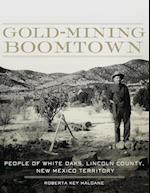 Gold-Mining Boomtown