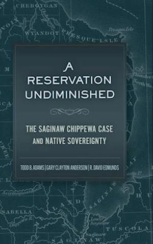 A Reservation Undiminished