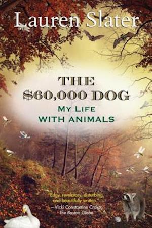 $60,000 Dog