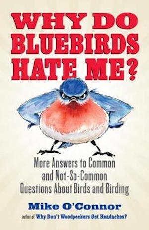 Why Do Bluebirds Hate Me?