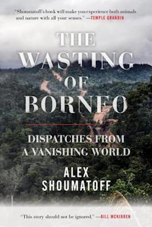 Wasting of Borneo