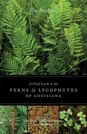 Field Guide to the Ferns and Lycophytes of Louisiana