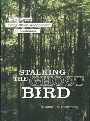 Stalking the Ghost Bird