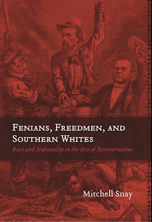 Fenians, Freedmen, and Southern Whites