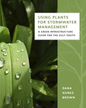 Using Plants for Stormwater Management